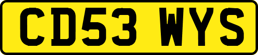 CD53WYS