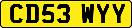 CD53WYY