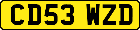 CD53WZD