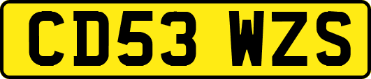 CD53WZS