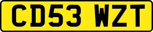 CD53WZT