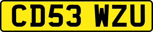 CD53WZU