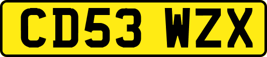 CD53WZX