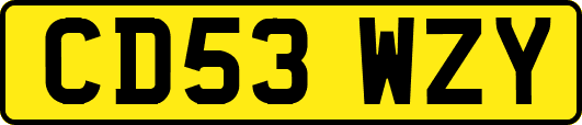CD53WZY
