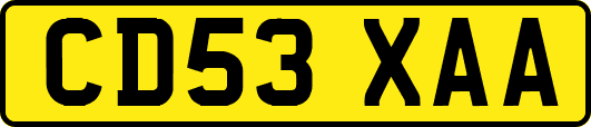 CD53XAA