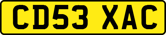 CD53XAC