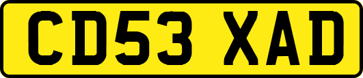 CD53XAD