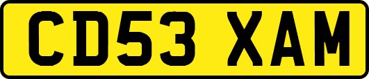 CD53XAM