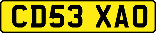 CD53XAO