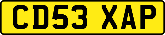 CD53XAP