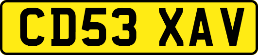 CD53XAV