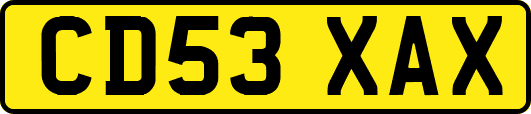 CD53XAX