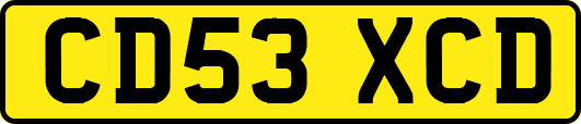 CD53XCD