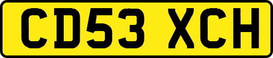 CD53XCH
