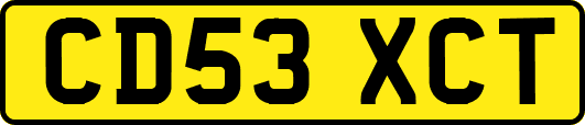 CD53XCT