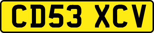 CD53XCV
