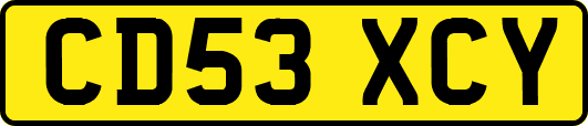 CD53XCY