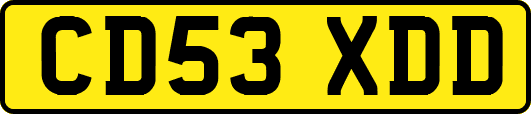 CD53XDD