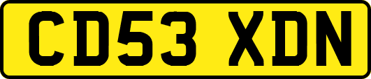 CD53XDN