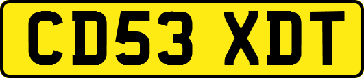 CD53XDT