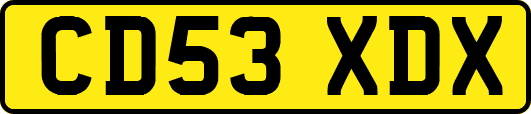 CD53XDX