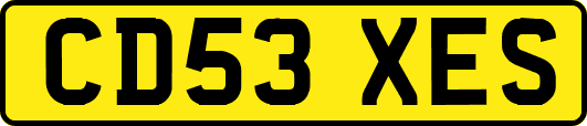 CD53XES