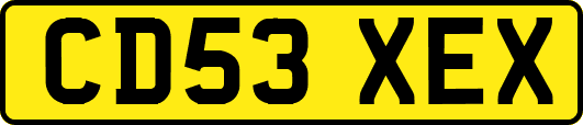 CD53XEX