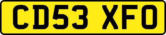 CD53XFO
