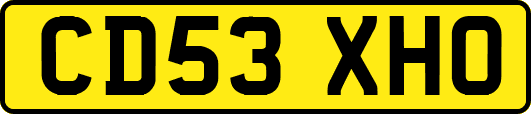 CD53XHO