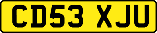 CD53XJU