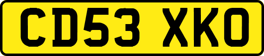 CD53XKO