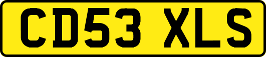 CD53XLS