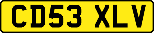 CD53XLV