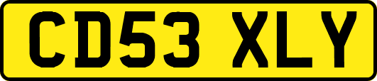 CD53XLY