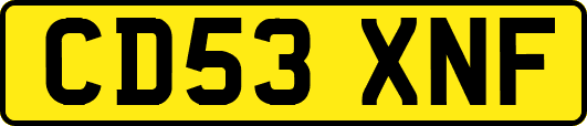CD53XNF