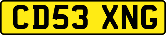 CD53XNG
