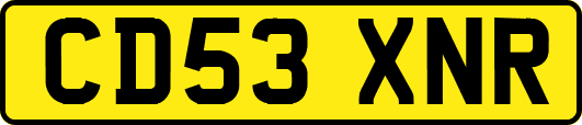 CD53XNR