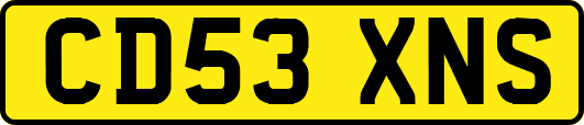 CD53XNS