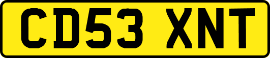 CD53XNT