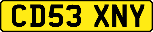 CD53XNY