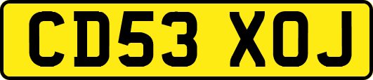 CD53XOJ