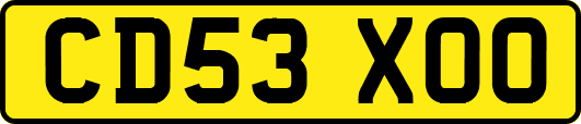 CD53XOO