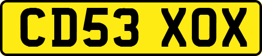 CD53XOX