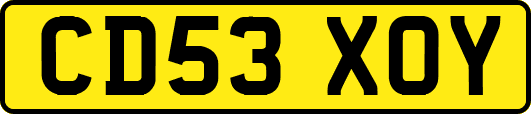 CD53XOY