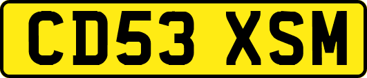 CD53XSM