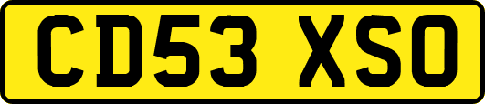 CD53XSO