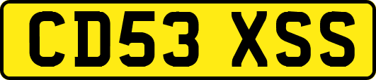 CD53XSS