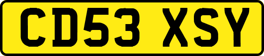 CD53XSY