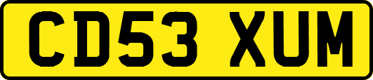 CD53XUM