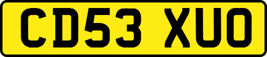 CD53XUO